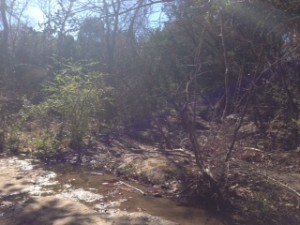 Dried up creek