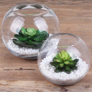 aquarium-transparent-spherical-glass-vase
