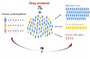 polymorphism.drugtreatment