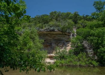 Seismic Wall from accorss the creek at the Barton Creek Greenbel