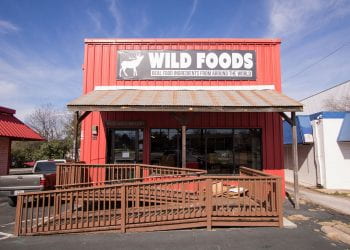 Wild Foods 02-19-2019