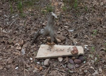 The Only Natural Burial Park in Austin, TX, 2019-04-29, Eloise W