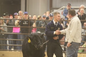 I was VERY involved in FFA throughout my 4 years in high school and starting my junior year I went out to take pictures at our show. This is Kyle Pasket who has always tried hard every year to win showmanship and a spot in the auction. This past year he finally made it.