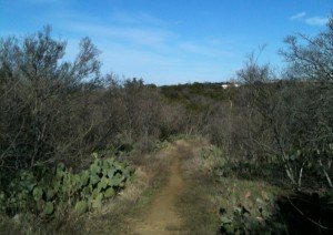 Blunn Creek Trail