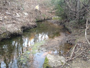 Blunn Creek
