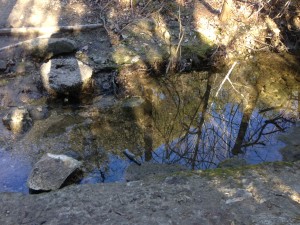 more water blunn creek