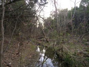 Creek #1