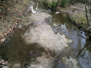 Creek #2