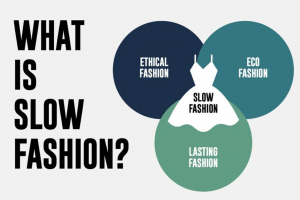 WHO WHAT WEAR uses a Venn diagram to show how Slow Fashion fits into the picture (Collings, 2018).