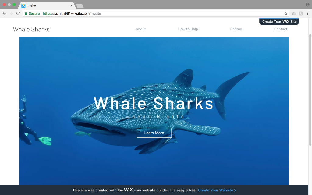 Website- Whale Sharks